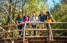 Du bleu, du vert, de l’air ! - 56