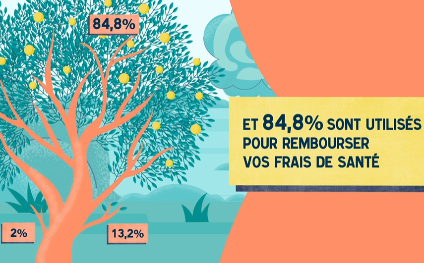 arbre répartition de la cotisation